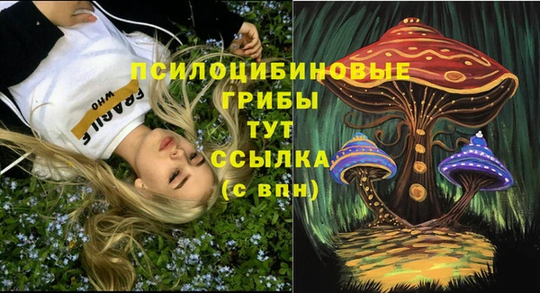 герыч Алексеевка