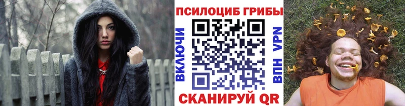Псилоцибиновые грибы мухоморы что такое наркотик Закаменск