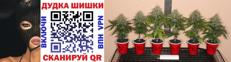 Марихуана LSD WEED  Закаменск 